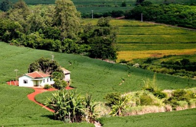 Área Rural