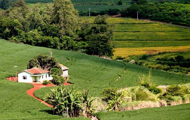 Área Rural
